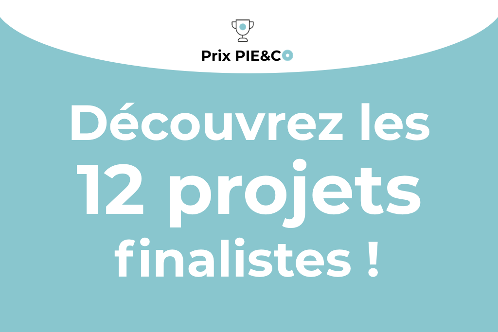 Le second jury du Prix PIE&Co s'est rassemblé jeudi dernier pour sélectionner, sur la base de vidéos réalisées par les candidats, les 12 finalistes de notre concours. Un choix très difficile pour nos jurés, bluffés par la qualité des projets en compétition. Encore merci à nos partenaires et bénévoles de s'être rendu disponibles pour cette sélection !