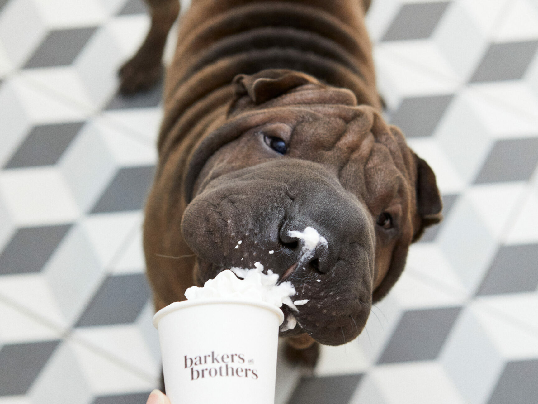 Barkers and Brothers