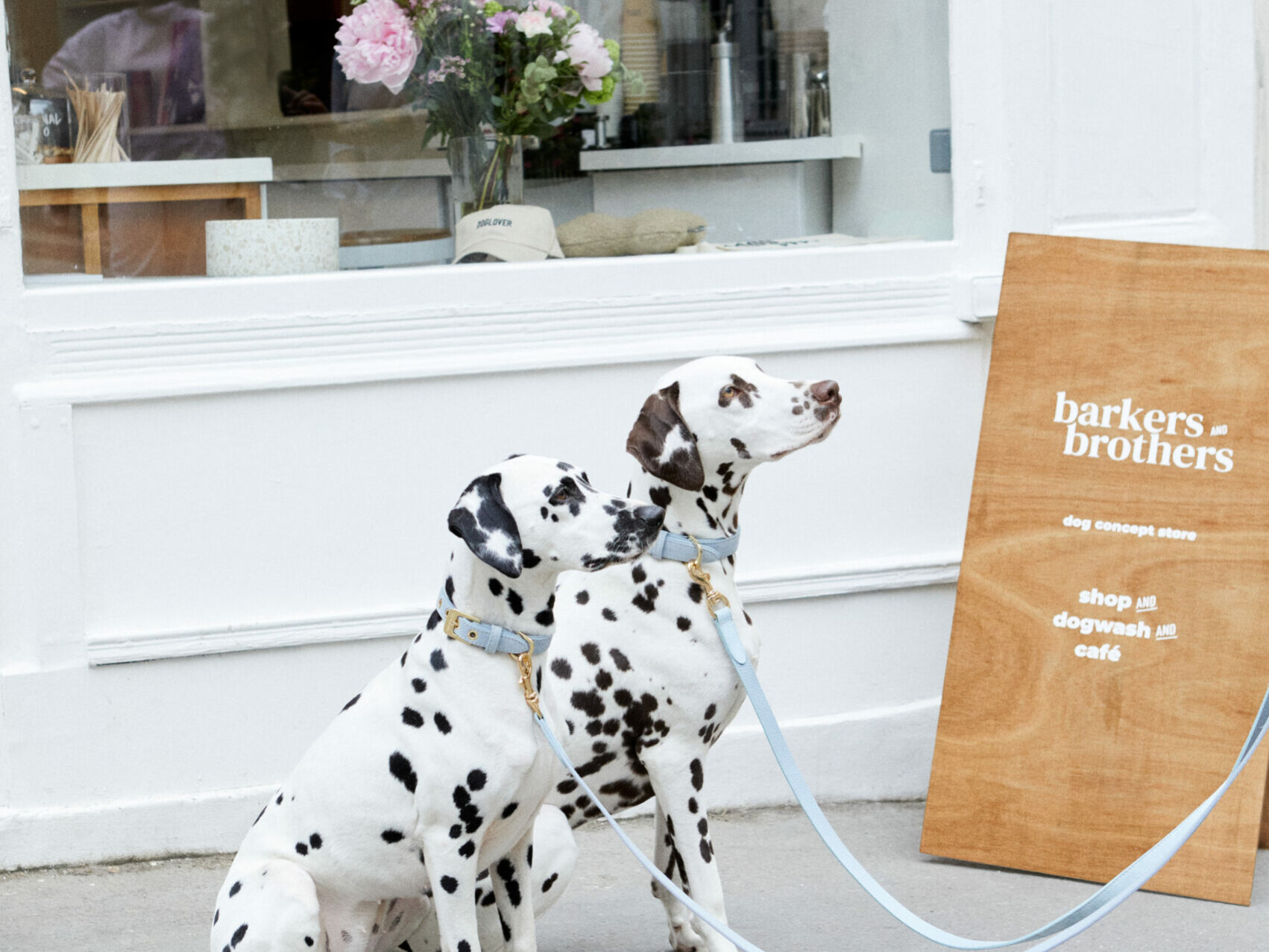 Barkers and Brothers