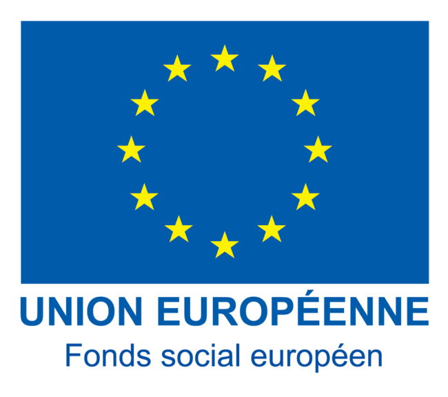 3-Logo-UE-FSE-couleur