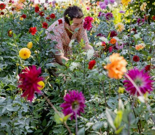 Fleuristes et pépiniéristes éco-responsables, locaux et passionnés, ils privilégient les circuits courts et les fleurs de saison. En cette veille de la Saint-Valentin, petite tournée de 10 bouquets parisiens soutenus par PIE.